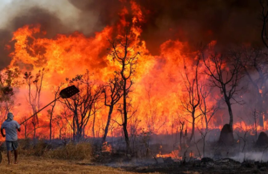 DOU Extra: MP traz medidas excepcionais para colaboração financeira para ações contra incêndios