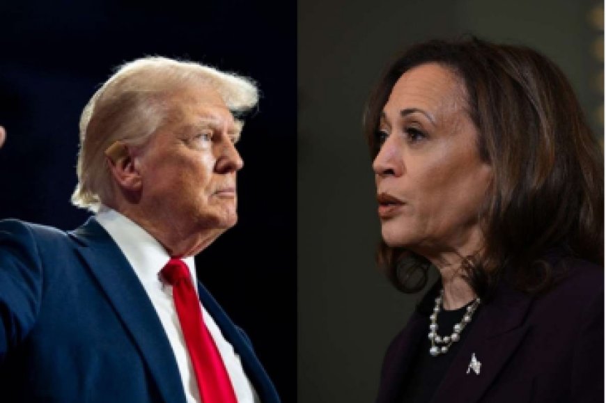 Trump e Harris aparecem tecnicamente empatados em pesquisa da CNN