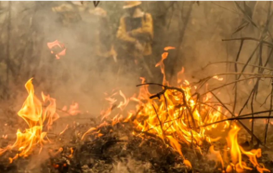 Em Mato Grosso, Corpo de Bombeiros está combatendo 50 incêndios florestais