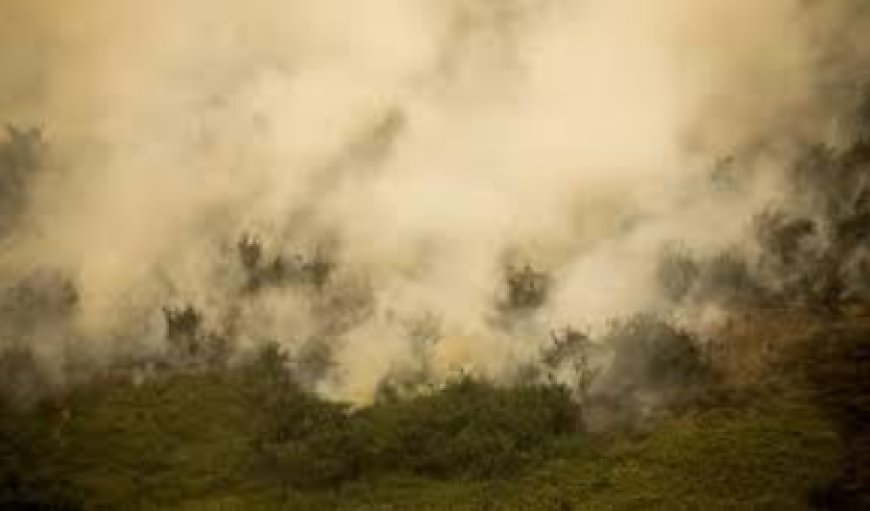 SP tem alerta para risco de incêndios; temperatura chega a 39 graus no interior