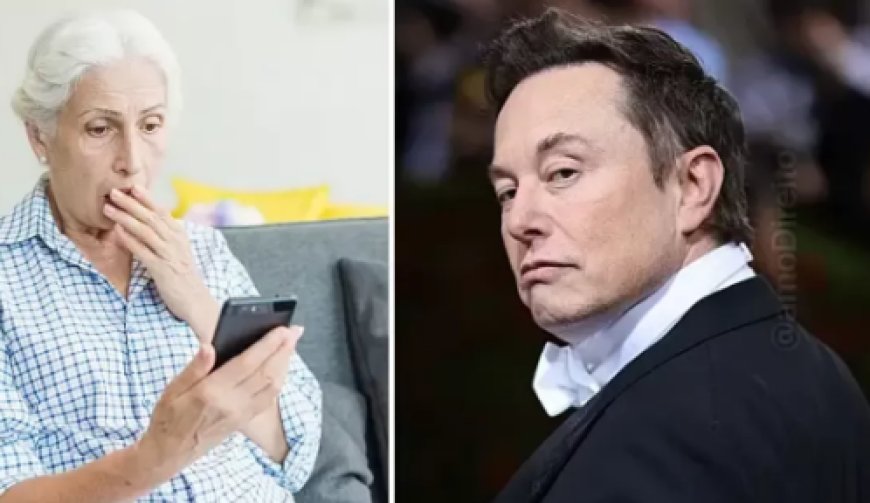 Idosa perde R$ 4 mil em golpe após acreditar que namorava Elon Musk