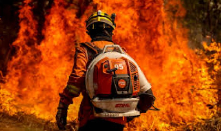 BNDES aprova R$ 180 milhões do Fundo Amazônia para corpos de bombeiros de 4 Estados