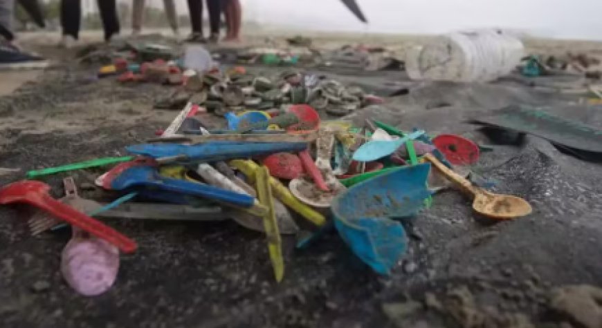 Praias de Mongaguá e São Vicente lideram ranking de poluição por plástico.