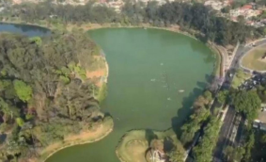 Zona sul de São Paulo: Lago do Parque do Ibirapuera apresenta água verde e aparecimento de 'ilha'