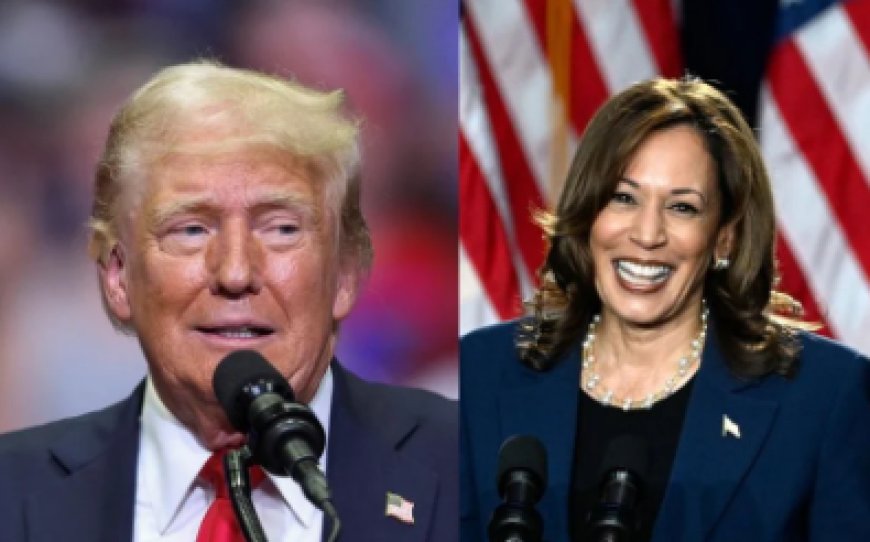 Harris e Trump empatam em pesquisa nos 7 Estados que devem definir o pleito